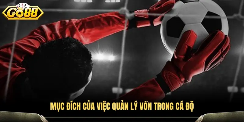 Vai trò của việc kiểm soát ngân sách khi tham gia cá cược
