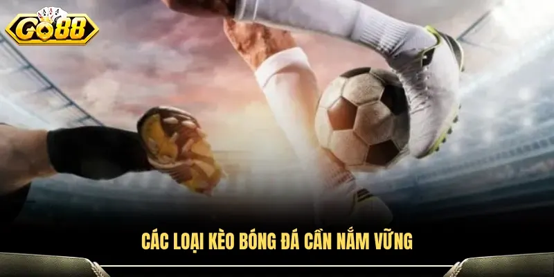 Những dạng kèo bóng đá quan trọng cần hiểu rõ